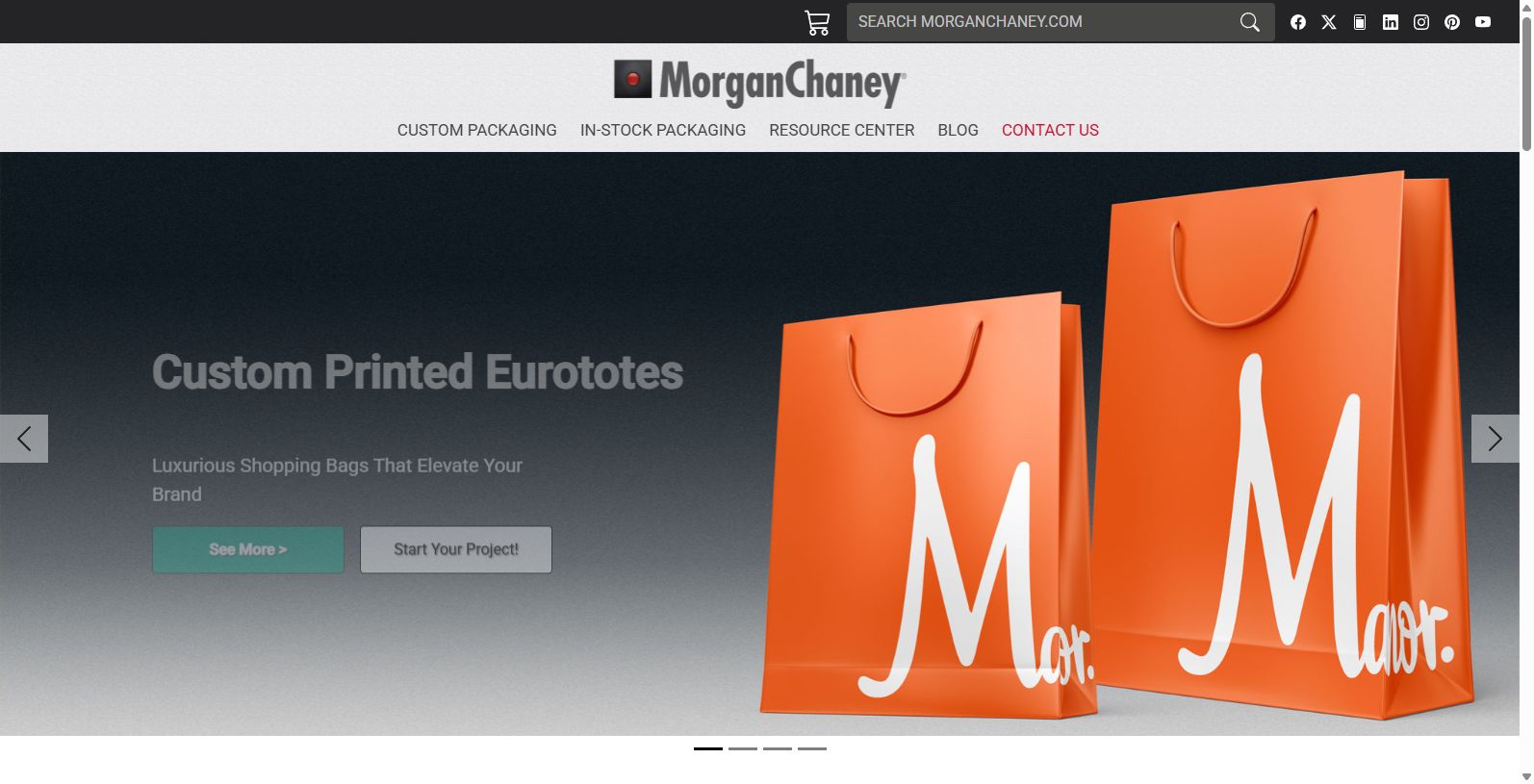 Morgan Chaney: Expert Custom Packaging Solutions Morgan Chaney: Expert Custom Packaging Solutions