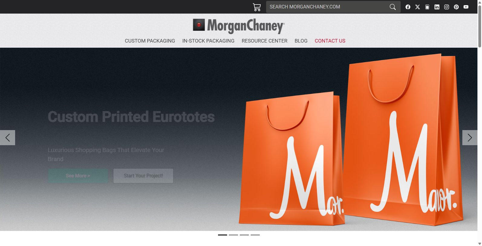 Morgan Chaney: Premium Packaging Solutions Morgan Chaney: Premium Packaging Solutions