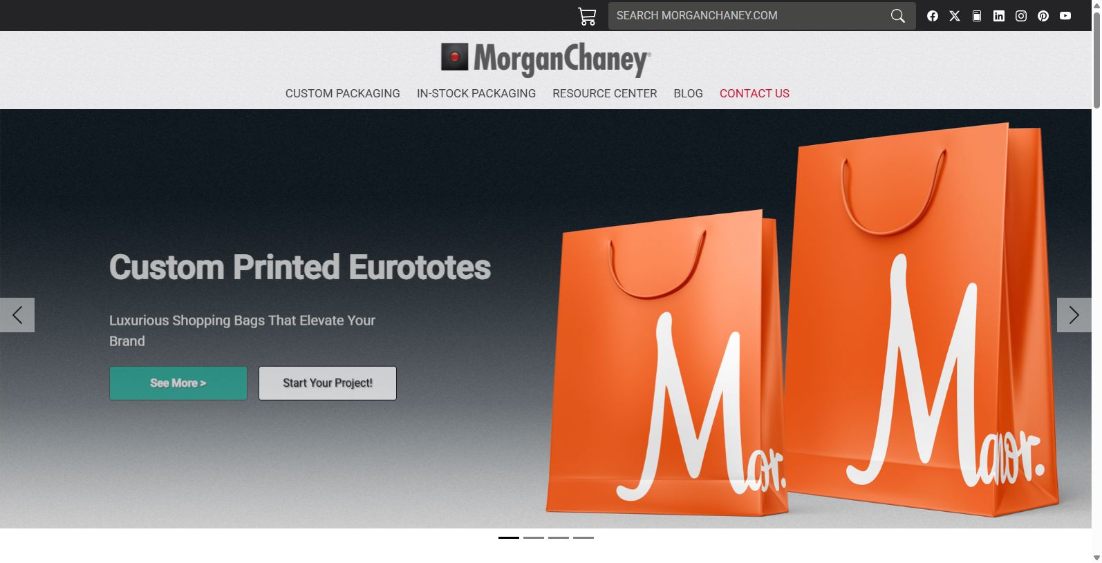 Morgan Chaney: Leading Wholesale Paper Merchandise Bags Provider