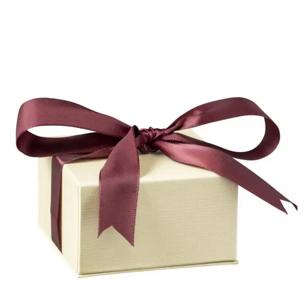 Dome Leatherette Earring Box with T-Bar Insert and Outer Gift Box Dome-shaped leatherette earring box with T-bar holder and outer gift box with ribbon bow