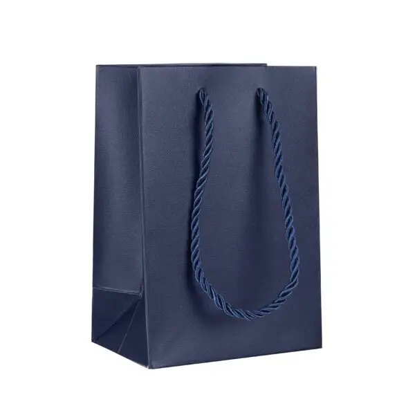 Premium Heavy-Duty Gem-Size Gift Bag – Custom Jewelry Packaging Premium heavy-duty gem-size luxury gift bag with custom color and foil logo printing for jewelry brands