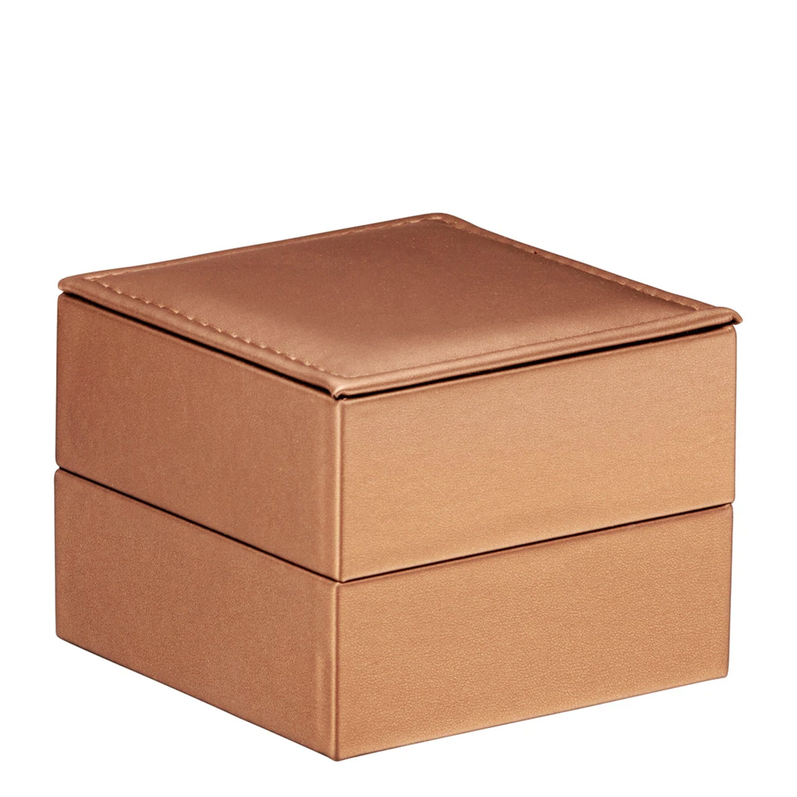 Magnetic Closures