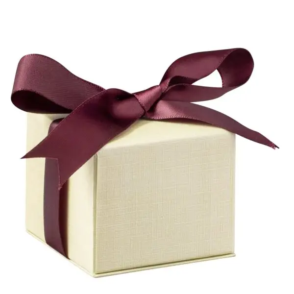 Dome Leatherette Earring Box with Outer Bow Box | Custom OEM Jewelry Packaging Premium dome leatherette earring box with outer bow box, custom logo options and padded interior display