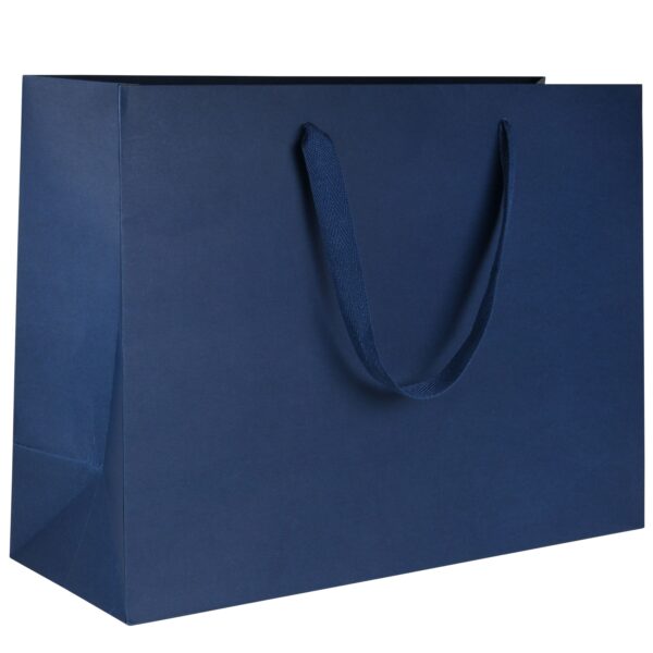 Custom ribbon handle gift bag for jewelry retail packaging with premium materials and logo branding