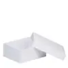 Premium velveteen T-style earring box with custom embossing, foam insert, and branded tissue presentation