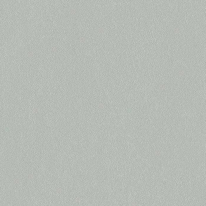 Biodegradable PLA