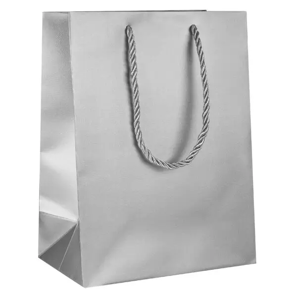 Luxury Heavy-Duty Gift Bag for Jewelry – Custom Cub Size OEM Luxury heavy-duty gift bag, small cub size, customizable colors, handles, and logo branding for jewelry brands.